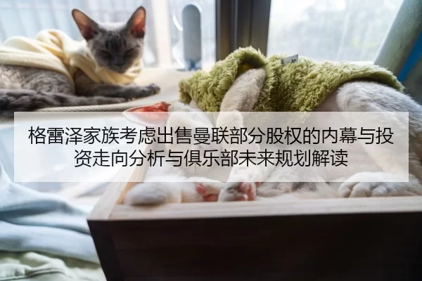格雷泽家族考虑出售曼联部分股权的内幕与投资走向分析与俱乐部未来规划解读