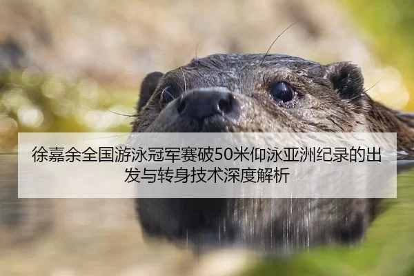 徐嘉余全国游泳冠军赛破50米仰泳亚洲纪录的出发与转身技术深度解析