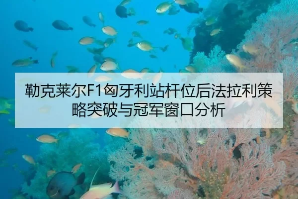 勒克莱尔F1匈牙利站杆位后法拉利策略突破与冠军窗口分析